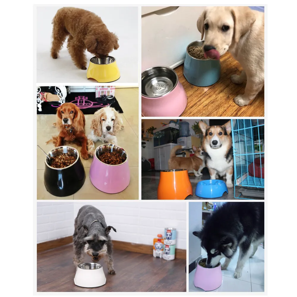 Protégez les animaux de compagnie Cou Pet Bowl Sets Nourrir les aliments pour Golden Retriever Grands chiens avec Malemine Stand amovible en acier inoxydable Y200917