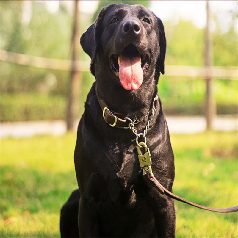 Couro de couro real PET PINCH COLLAR lidera cinta manual grande Cadeia de cachorro coleira de corda ajustável para cães médios LJ201112