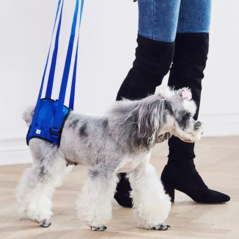Dog Aid Assist Tool Adjustable Lift Harness for Back Leg Pet Support Sling Leash C63B 201126