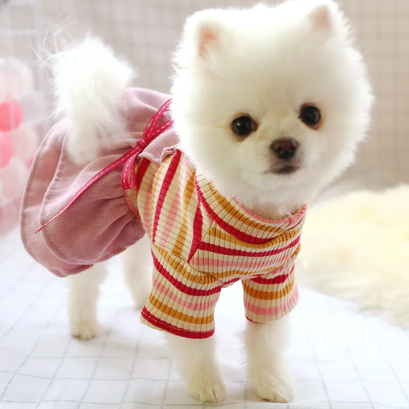 Spirng Summer Dog Vêtements Princess Robe chaude pour les petits chiens costumes de chat en manteau veste chiot chemise de compagnies