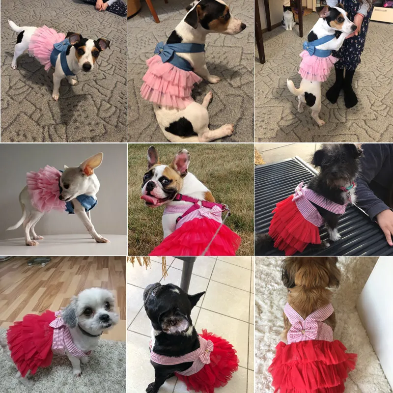 Летнее платье для собак Одежда для домашних животных Чихуахуа Свадебная юбка Одежда для щенков Весна es s Jean Pet XSL Y200917