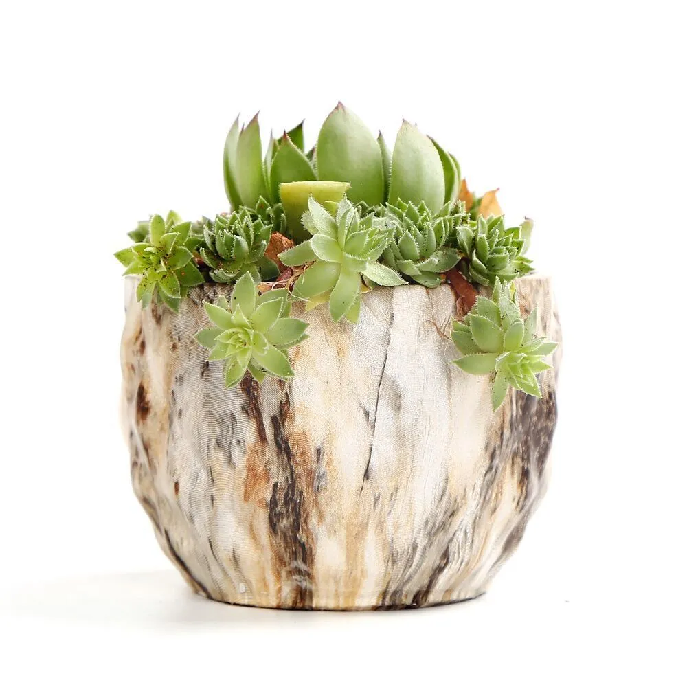 モダンな石造りの植木鉢の多肉植物の鍋のサボテンのプランター鍋のコンテナ盆栽プランター穴3.35インチ完璧な贈り物のアイデアY200723