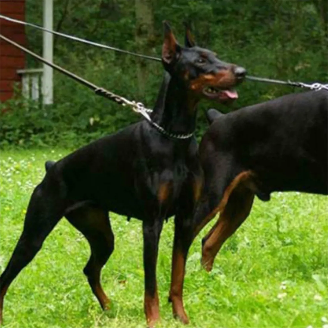 Trwałe plecione skórzane pies trening chodzenia dla owczarka niemieckiego Produkty dla zwierząt domowych średnie duże S LJ201113