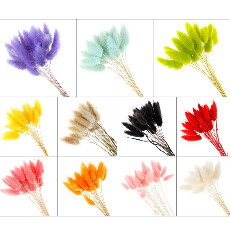 50ピース自然乾燥花豪華なカラフルな造花偽のウサギテールグラステールロングバンチ植物の装飾220311