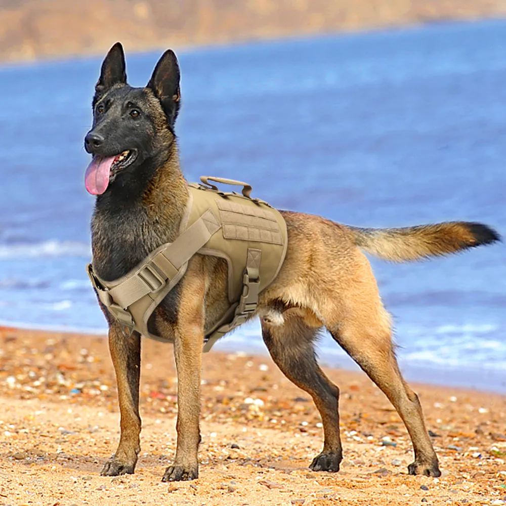 Harnais tactique pour chien Pet Formation militaire Gilet pour chien Berger allemand K9 Harnais pour chien Molle Gilet pour chiens de taille moyenne LJ201202