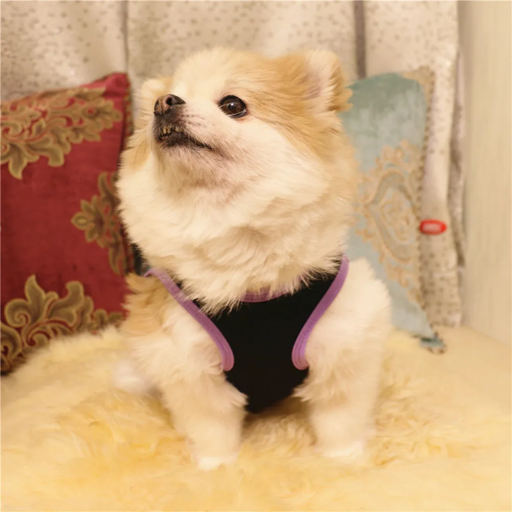 Mooie konijnenpatroon huisdierkleding voor honden Vestontwerper Pitbulls Japanse mooie puppy kostuum Y200917