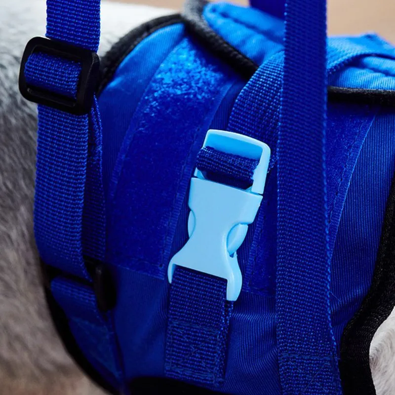 Hondenhulpgereedschap Verstelbare Lift Harnas voor achterbeen Huisdier Ondersteuning Sling Leash C63B 201126