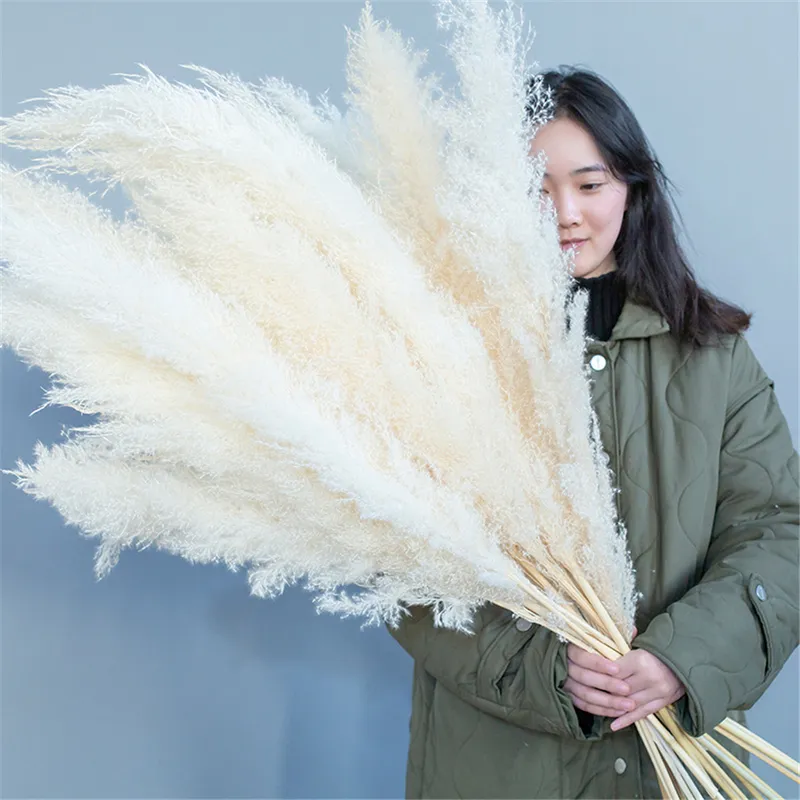 1-1.1m Large Pampas Grass Fluffy Natural Dryness Wedding Bouquet Tall Dried Flower Ceremony Modern Home Garden Decoration Reed 220311
