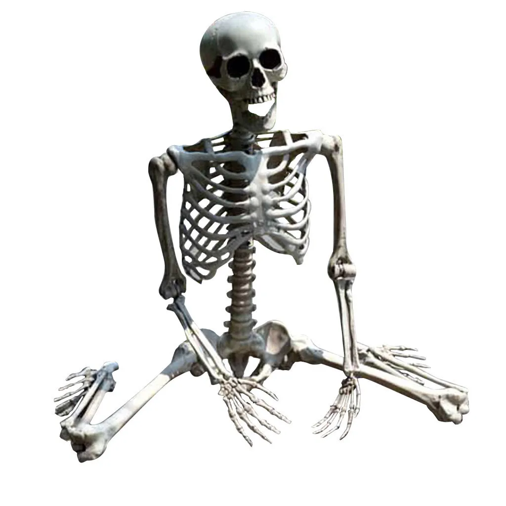 Scheletro di Halloween Prop Decorazione del partito Umano Full Size Cranio Mano Vita Anatomia del corpo Modello Decor Vacanze Decorazioni fai da te Y201006