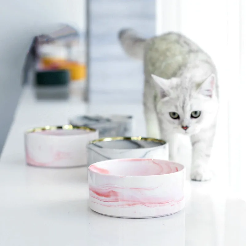 Ceramic Pet Solid Wood Frame Drink Water Basin Dog Ragdoll Food Bowl Cat Supplies Y200917