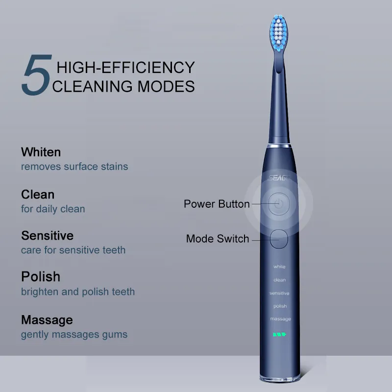 Seago Electric Sonic Toothbrush SG-575 USB Charge Rechargeable Adult Waterproof Electronic Tooth Brushes Replacement Heads Gift 220224