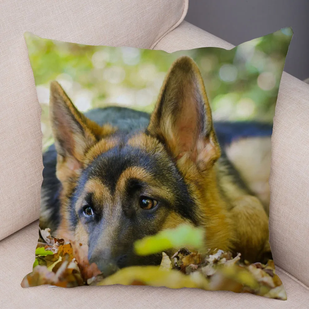 Copertina di cuscinetti cani da pastore tedesco Decor decorazioni Pet Animal Cushion Cover divano casa Super morbido Puscia da peluche Short 4545CM9916903