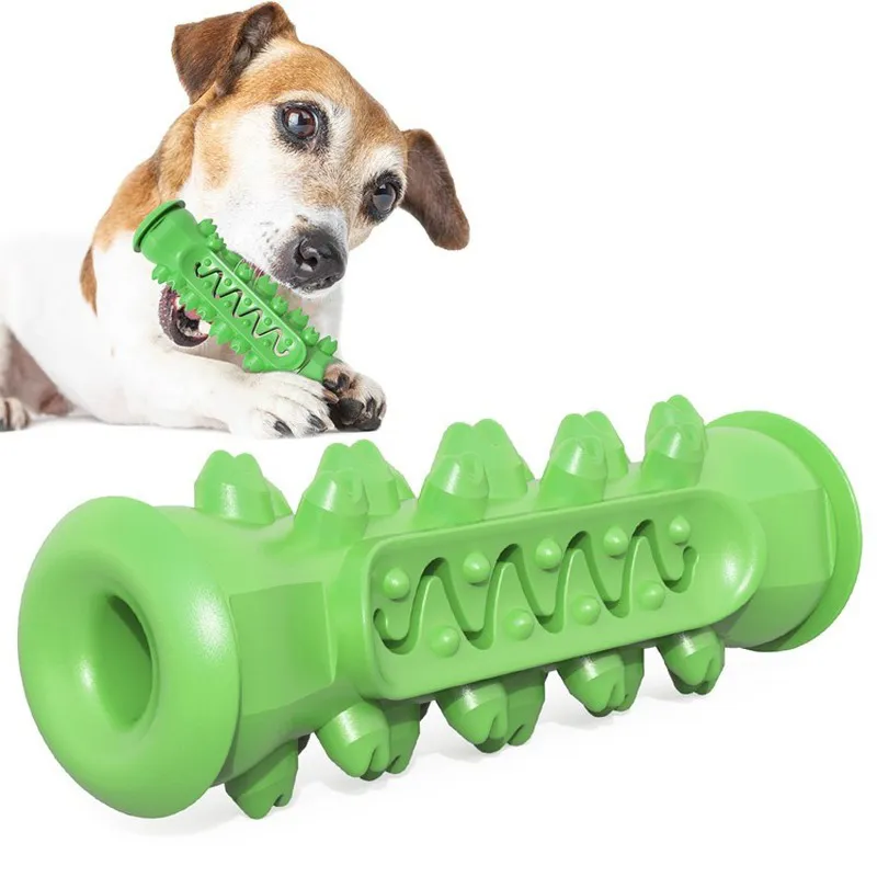 Köpek oyuncaklar diş fırçası ısırmaya dayanıklı temiz diş taşlama sopa pet kemik çiğneme oyuncak ısırma tutkal köpekler oyuncaklar lj201125