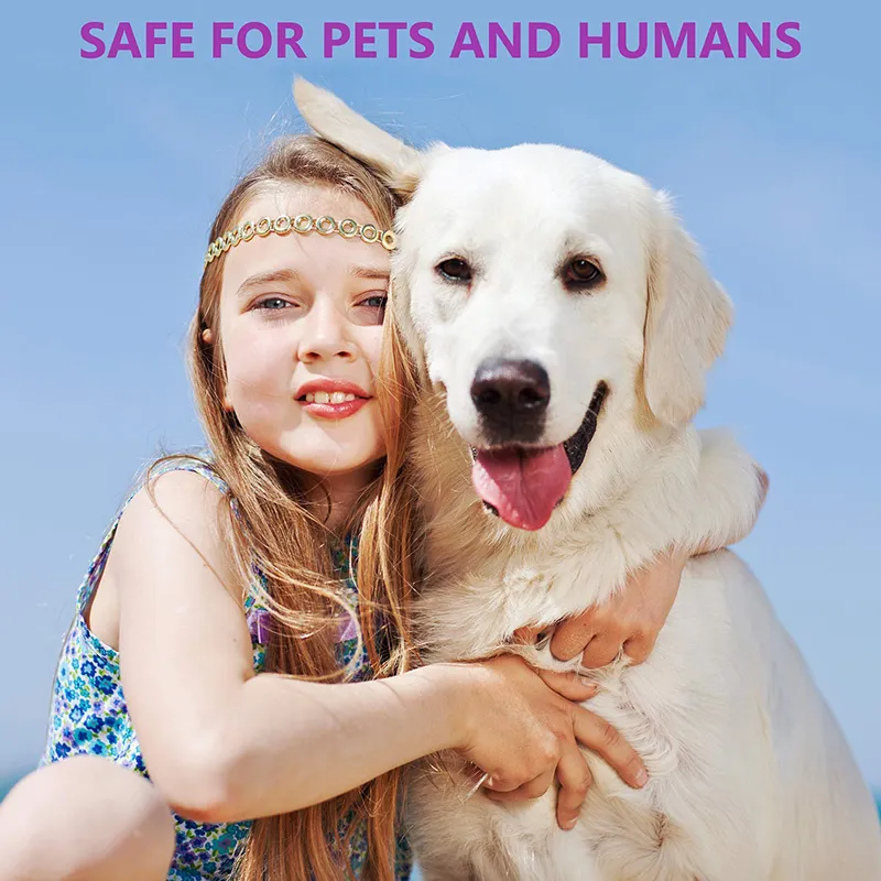 ベンポの効果的な安全な安全な安全な安全な猫の犬のための調節可能な不安フェロモン減少ペット襟を持続的なナチュラル落ち着いたLJ201113