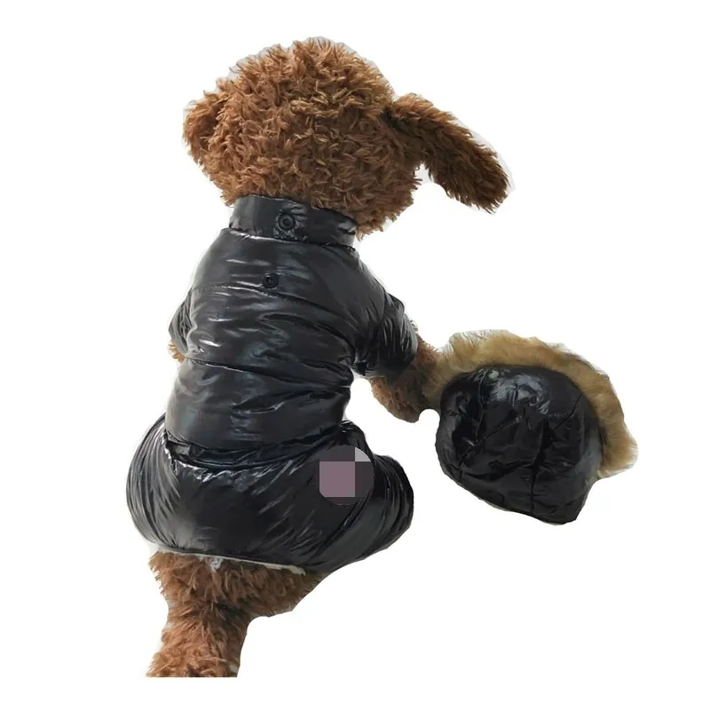 Épaisseur Coton Hoodies Hiver Pet Dog Vêtements Veste Super Chaud Pour Petits Chiens Manteau De Chien Imperméable Chiot Tenues S-XXL 201109