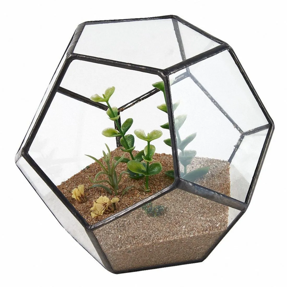 Pentagone en verre noir Pentagone Géométrique Terrarium Conteneur Décor de décoration de fleur Balconie Planteur DIY Boîte d'affichage pas de plante T2001044927298