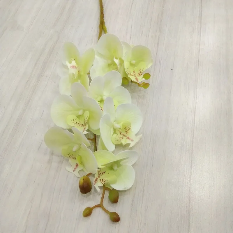 5 pièces fleurs d'orchidées papillon artificielles en latex 8 têtes 2 branches pièce orchidée Phalaenopsis au toucher réel 27 pour décoration florale278W