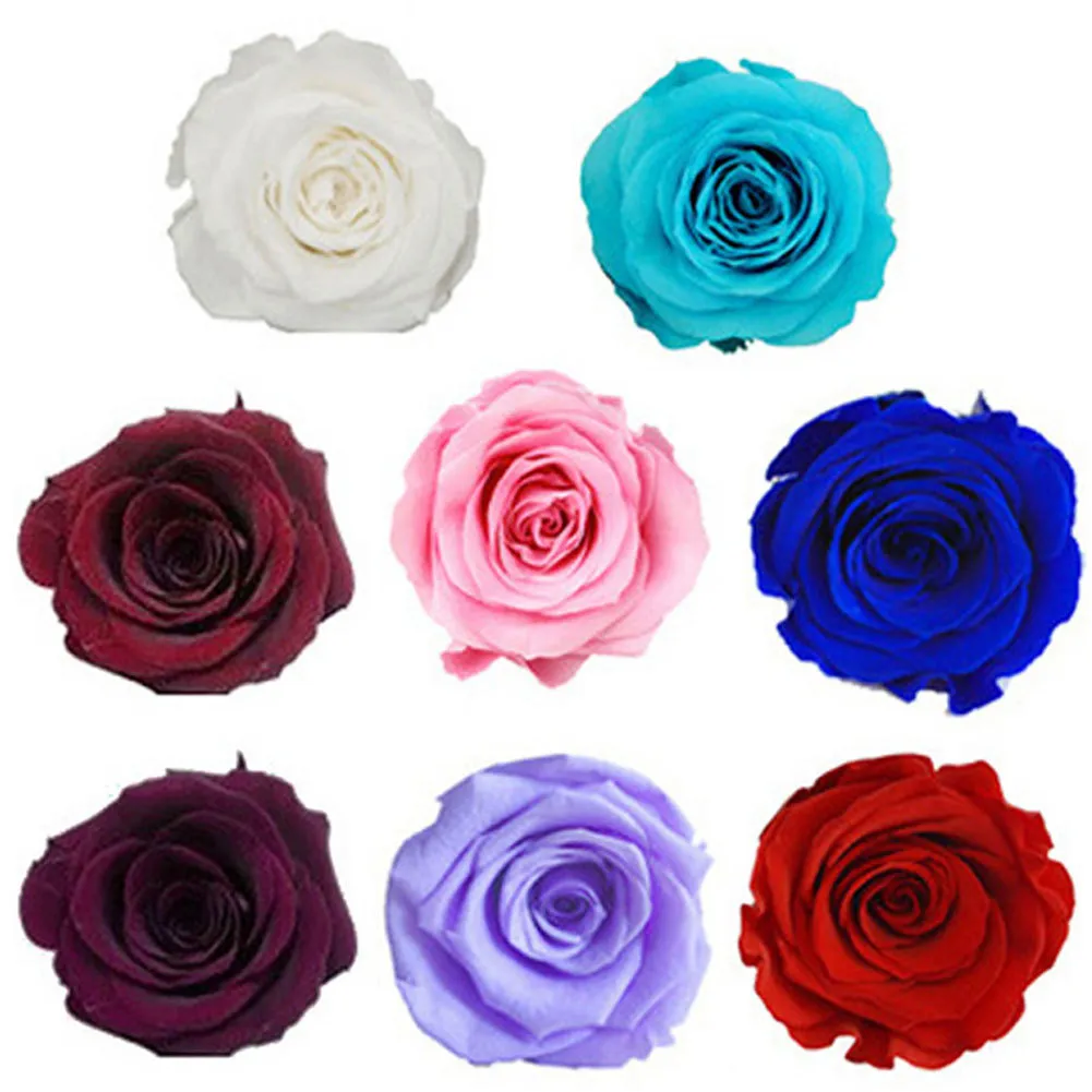 6 pçs/caixa cabeças de flores de rosas frescas preservadas classe B 5-6CM rosas secas flores artesanais faça você mesmo arranjo de flores eternas Y0104