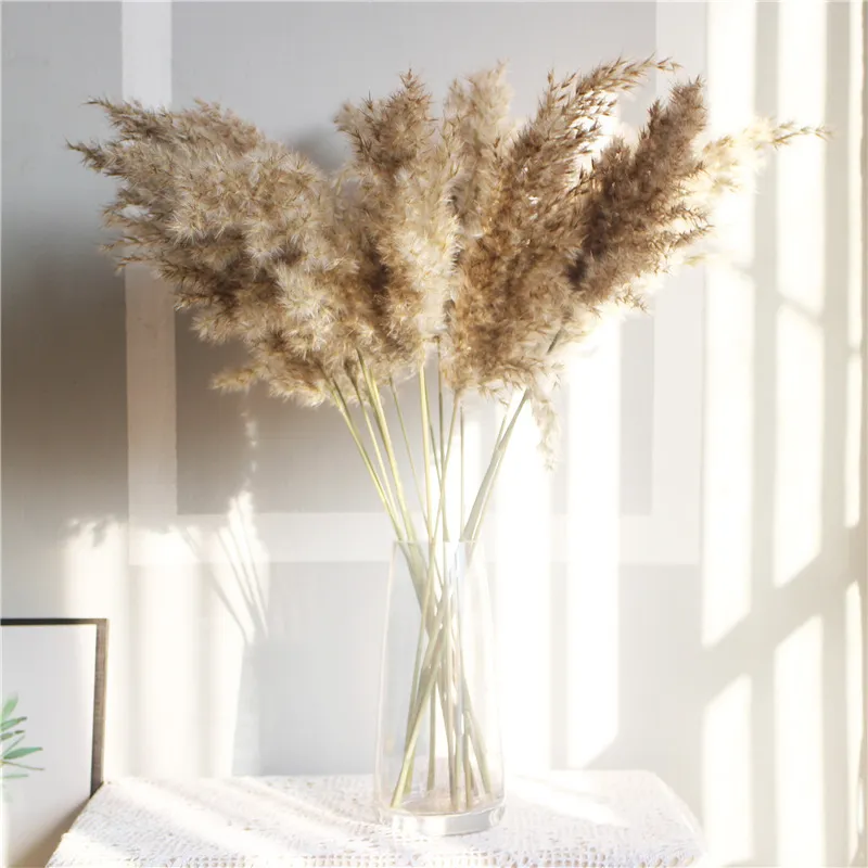 Natural-Dried-Pampas-Grass-Phragmites-Communis-for-Wedding-Artificial-Flower-Bunch-Home-Decor-DIY-Craft-dry