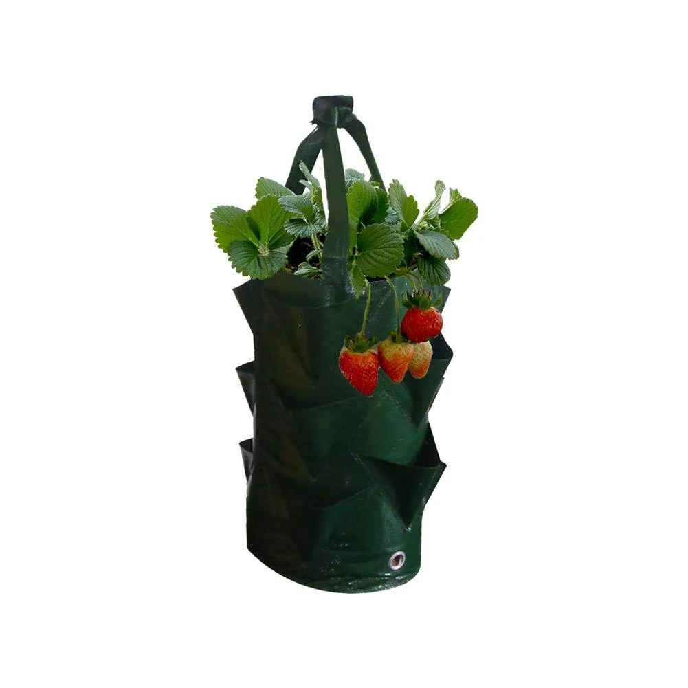 Cabinet Door Organizers Garden Strawberry PE Hanging Grow Planting Bag Plant Root Pot Pouch Container