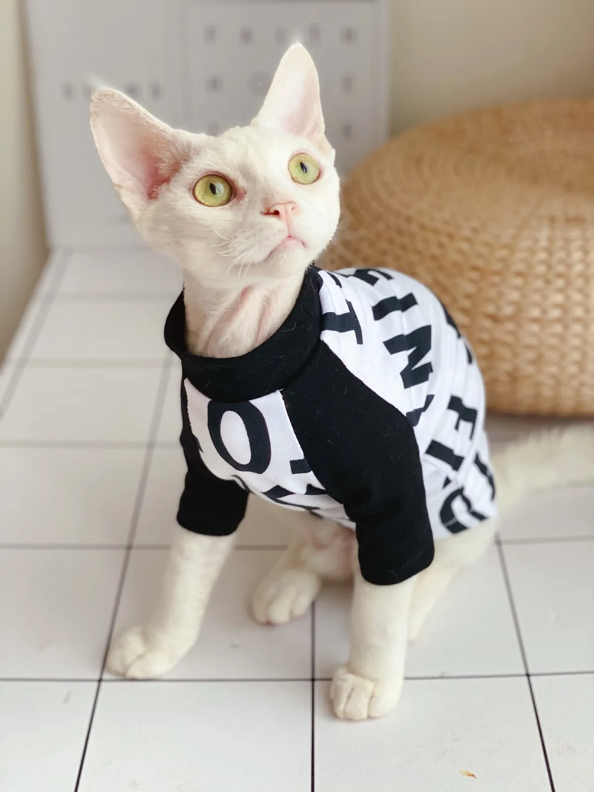 Hairless Cat Clothing Sphinx Clothes For Pet Cartoon Winter Shirt 201111
