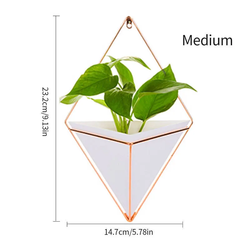 Vase de jardinière suspendu innovant Vase de décoration murale géométrique Conteneur de plantes succulentes LJ201209