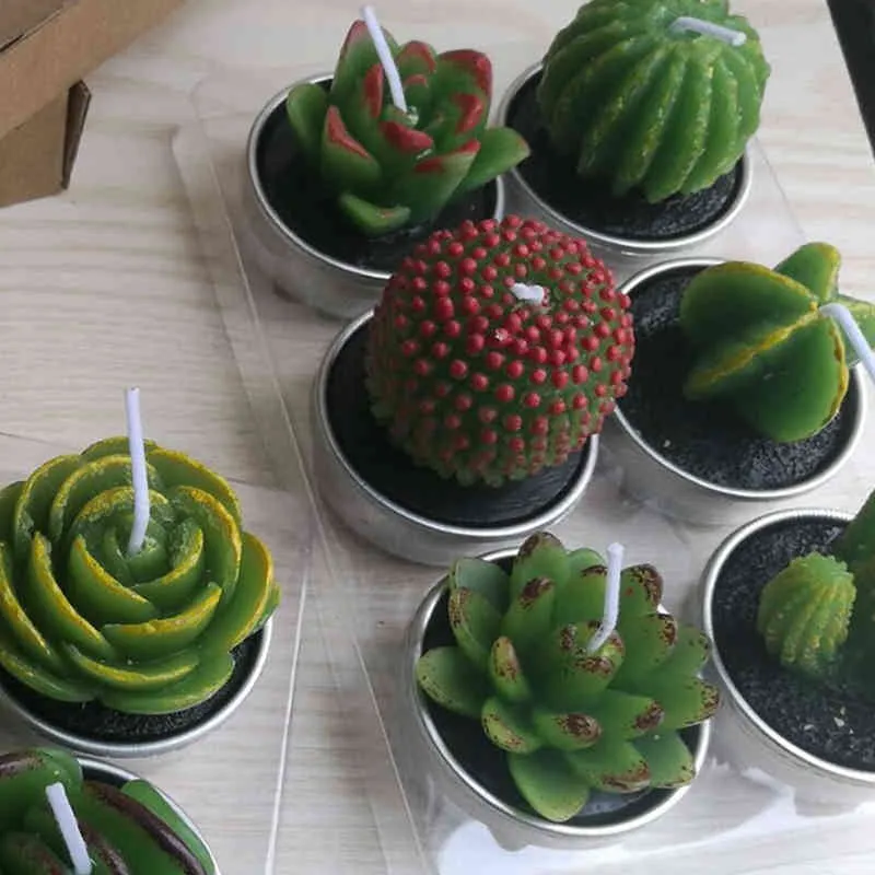 12 stks Valentijnsdag Rose Flower Candle 3D Cactus kaarsen gesimuleerde succulente plantkaarsen Set voor bruiloften Woondecoratie Y211229