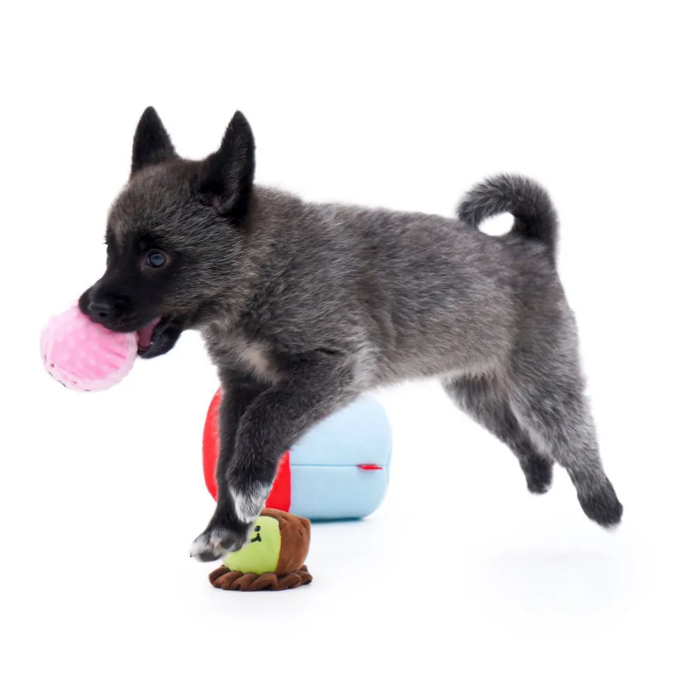 Kore Dondurma Kovası Glow Ball Set Köpek Peluş Oyuncak Peluş Köpek Oyuncak Funn8835888