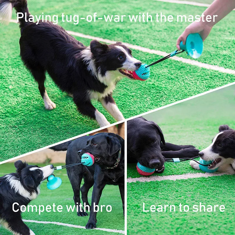 Benepaw Gezond interactief Speelgoed Hond Chew Treat Food Dispensing Ball Puppy Pet Speelgoed voor kleine grote honden Sterke tandjes kabel LJ201125