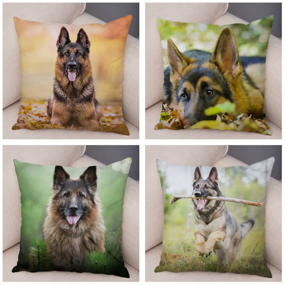 Copertina di cuscinetti cani da pastore tedesco Decor decorazioni Pet Animal Cushion Cover divano casa Super morbido Puscia da peluche Short 4545CM9916903