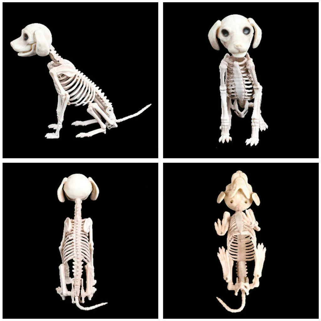 دعامة هيكل عظمي للهالوين على شكل عظام حيوانات زينة للحفلات ودعائم جمجمة رعب Y201006