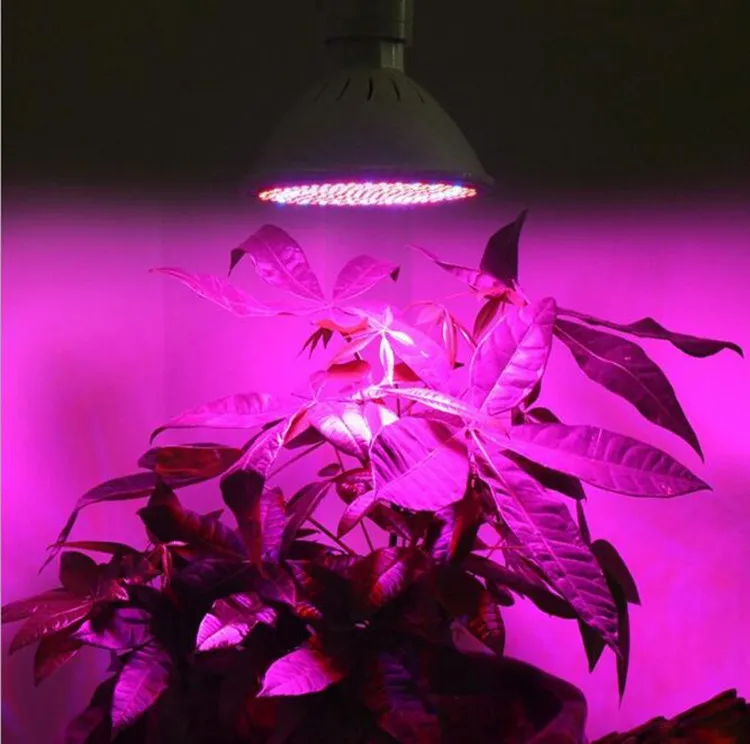 20W 430NM-660 NM LED DE LED rouge bleu lampe de culture E27 Resserrement de la peau Pon Pon Light Therapy
