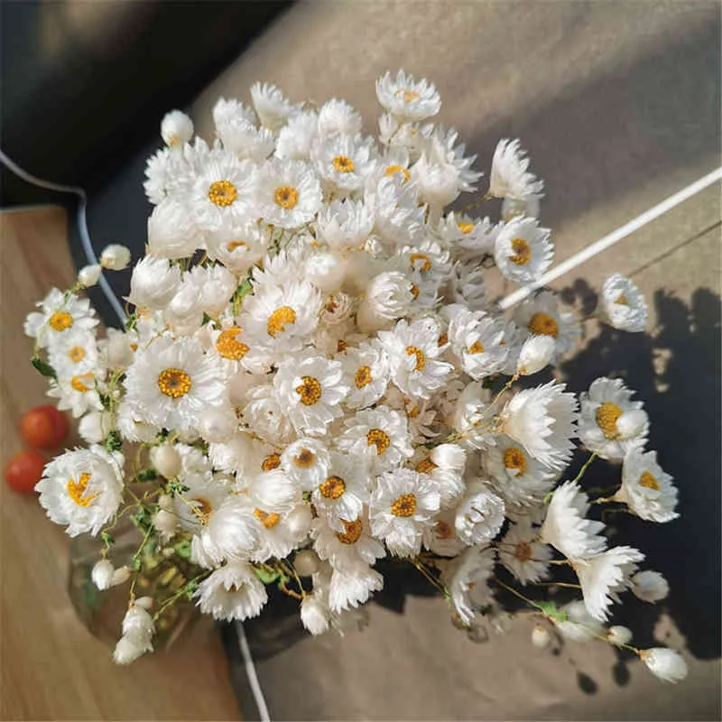 Cadeaux pour femmes fleurs naturelles fraîches séchées conservées Rhodanthe manglesii, bouquets de fleurs cadeau pour la décoration de mariage, décoration de la maison