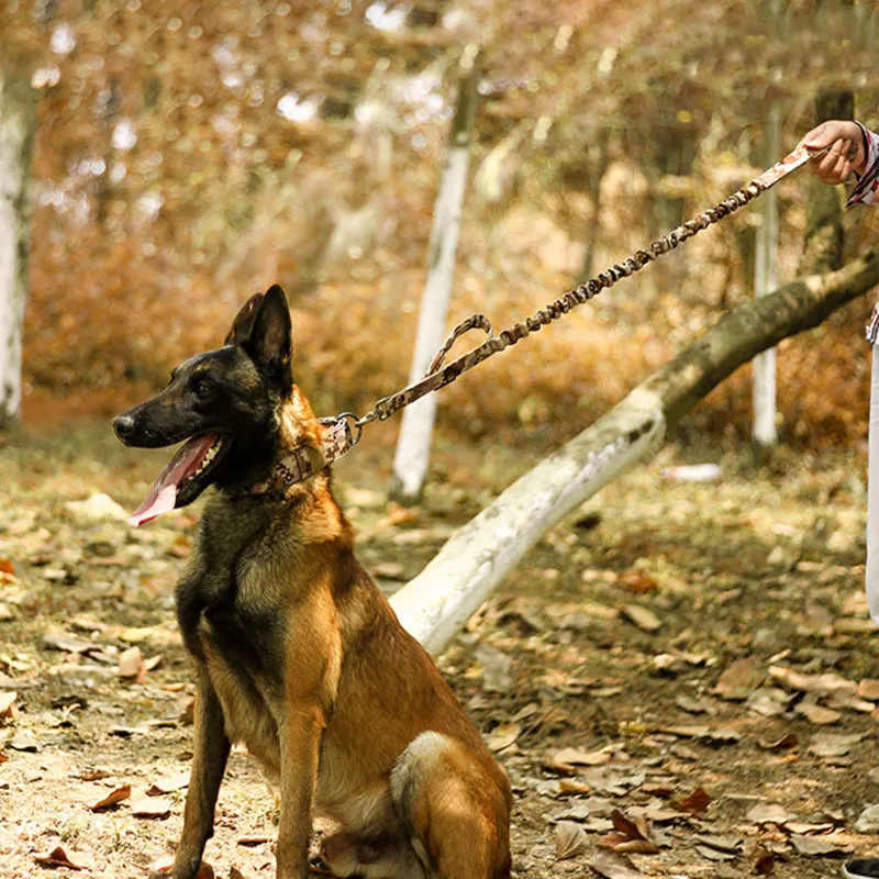 Halsband Verstelbaar Militair Tactisch Outdoor Training Nylon Halsbanden Duurzame Metalen Gesp Grote Middelgrote Honden Huisdierproducten 2013232114