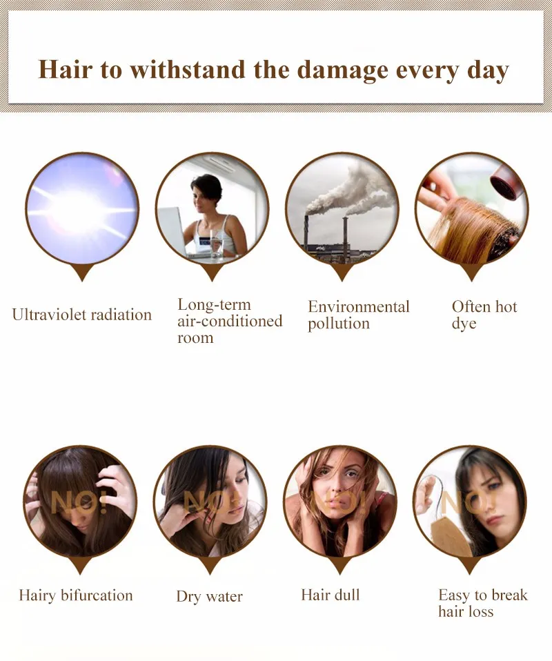 Ginger Shampoo Hair Loss No Silicone Oil Control Anti Dandruff Itching Cleansing Professional Scalp Treatment 400ML
