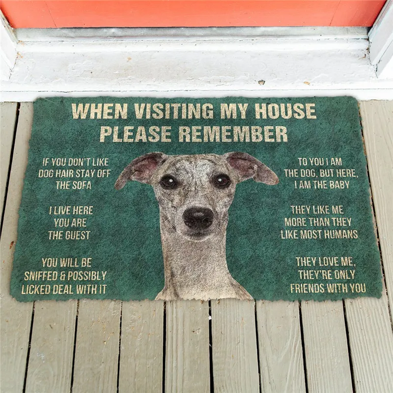 Pamiętaj Pamiętaj Boston Terrier House Reguls Custom Doormat Decor Destle Dywan Soft Flanela Non Slip Do Sypialni Porch 220301