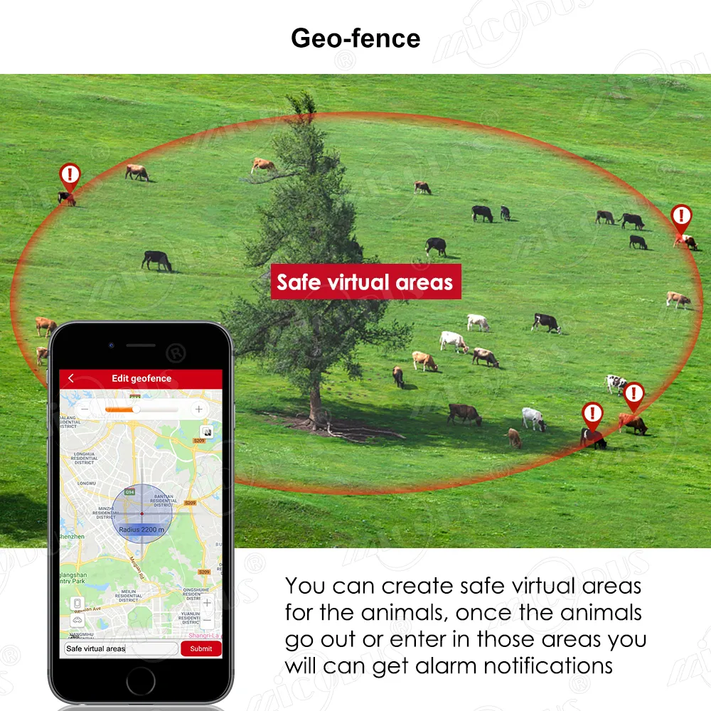 Neuestes Micodus-GPS-Echtzeiterfassungsgerät für Hunde, ml935, für Pferde, Kühe, Jagdhunde, 3000 mAh, Mikrofon, GPS-Tracker für Hunde, Geozaun, kostenlose App für Autos