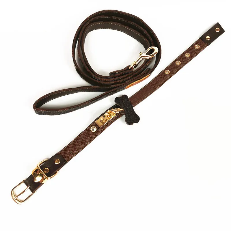 Collier de chien de luxe Leash Chihuahua Teddy French Bull Golden Retriever Labrador Dogs For Small Medium Large S LJ201112