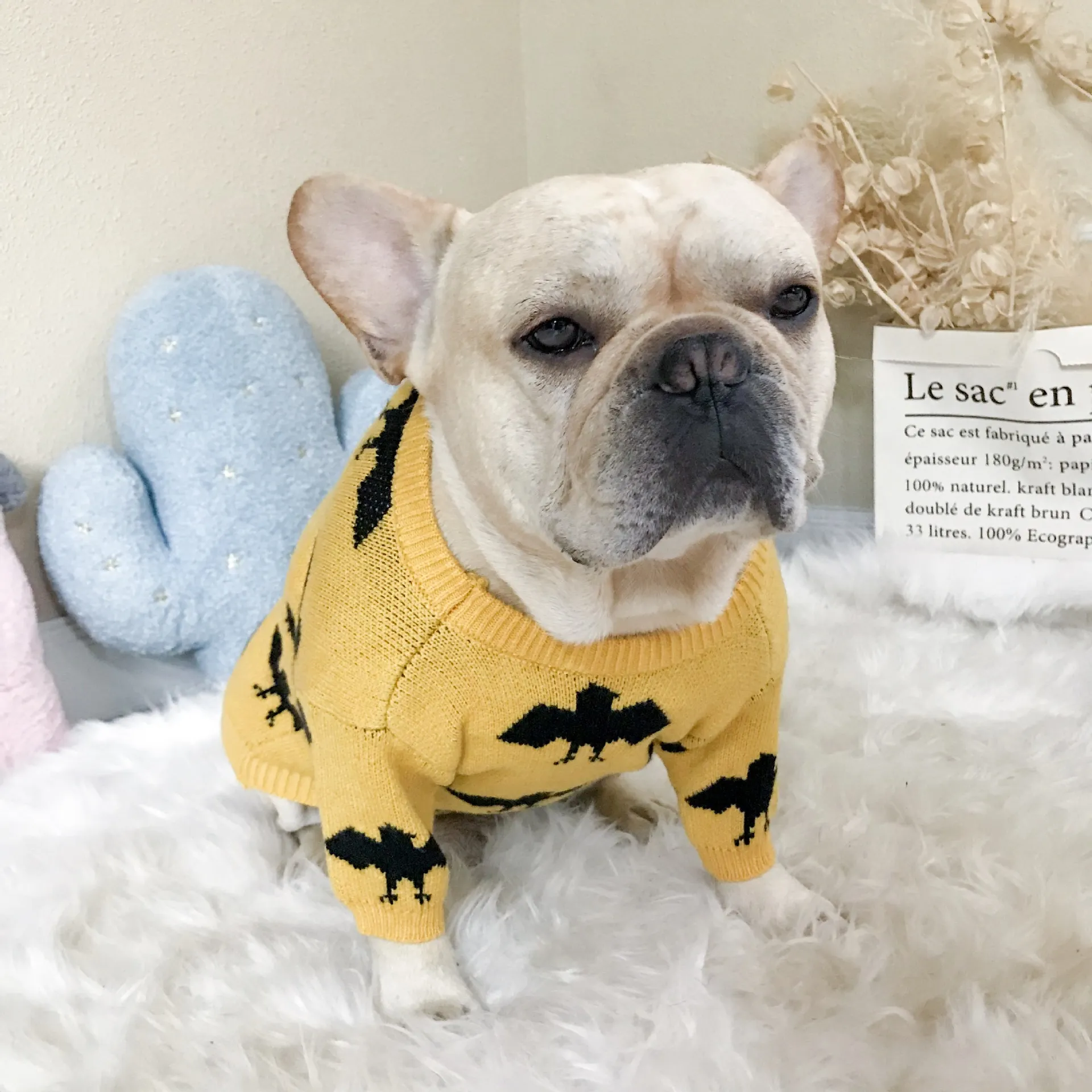 ペットコスチューム服の潮bat秋と冬の温かいコアスピン糸プルオーバーかわいいファドウバゴペットセーター犬の服