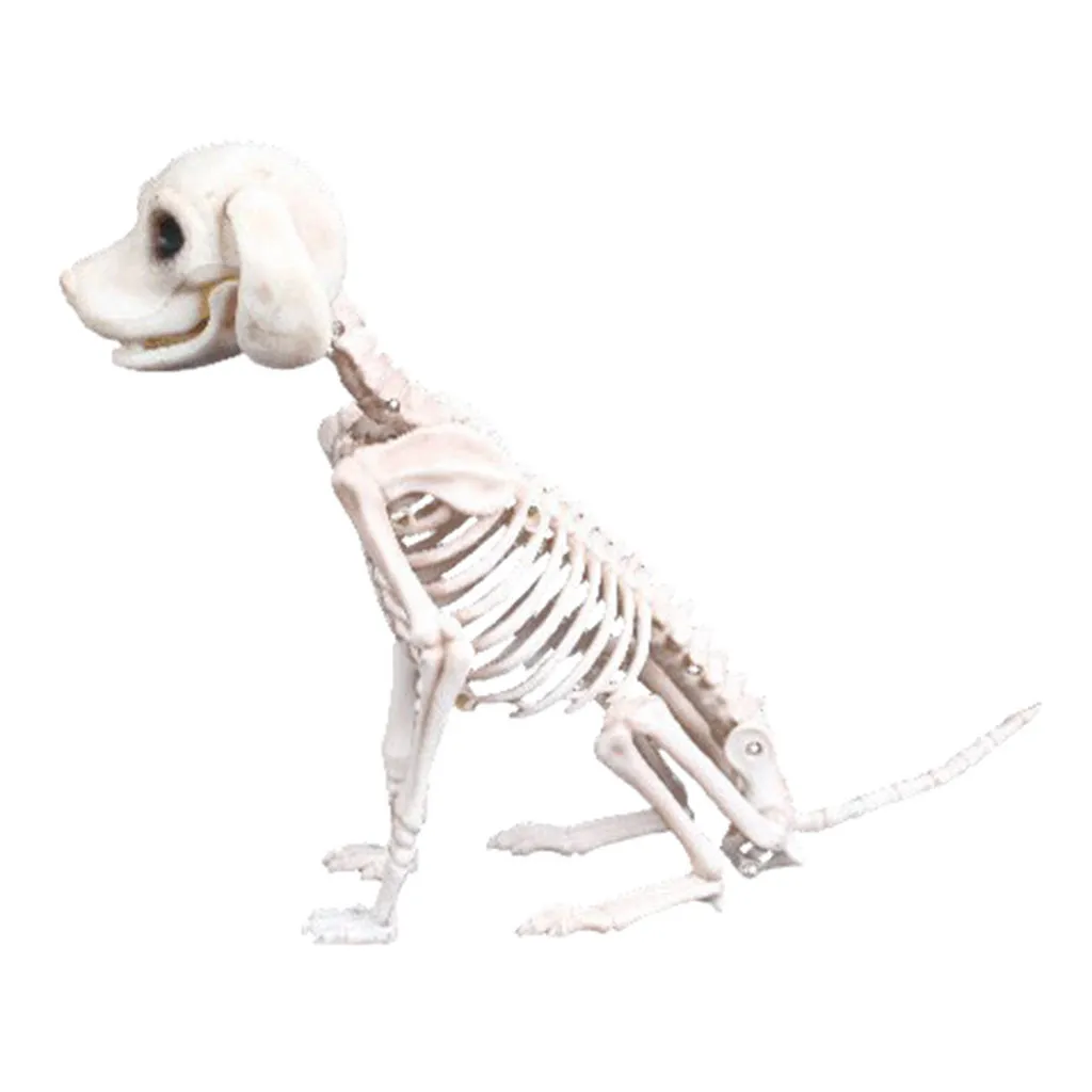 Halloween Szkielet Pies Prop Kości Zwierząt Strona Dekoracja Sklepu Horror Czaszka Rekwizyty Y201006