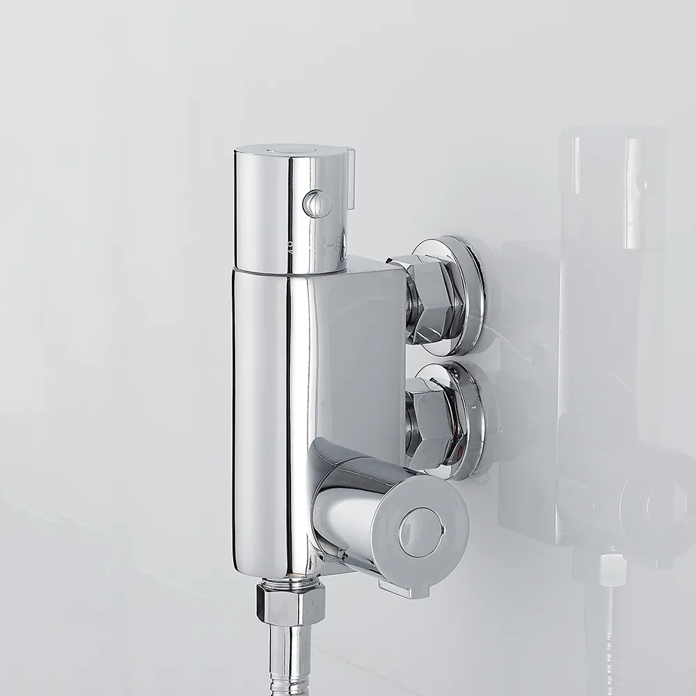 Conjunto de chuveiro de banheiro termóstico Conjunto de torneira de bidê de bidê montado na parede Conjunto de pulverizador portátil e chuveiro higiênico de água fria LJ29818046