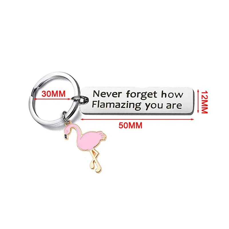 Schlüsselanhänger Motivierender Flamingo-Schlüsselanhänger „Never Forget How Flamazing You Are“, runder Schlüsselanhänger, Fred22277g