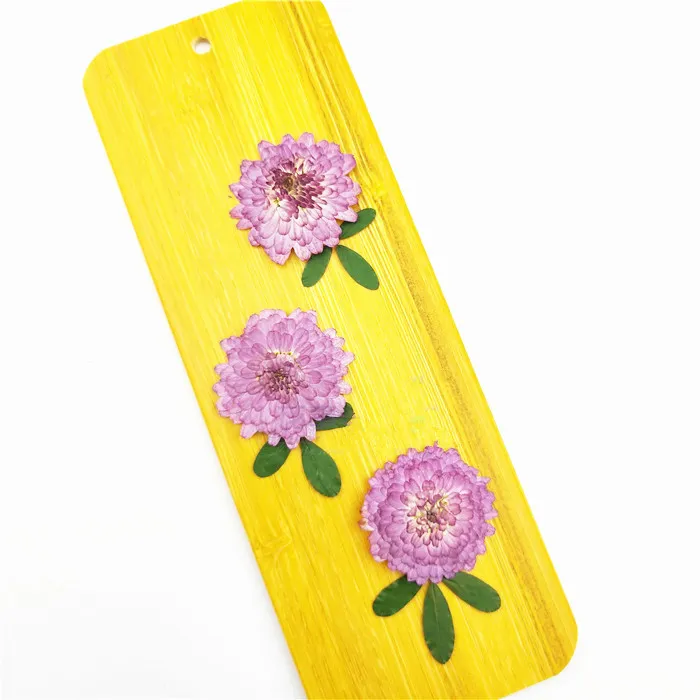 natural Pressed Purple Daisy Flowereal Flower Diy Wedding Invitation Art Craft Gift CardesCented Candle Decor 23464347