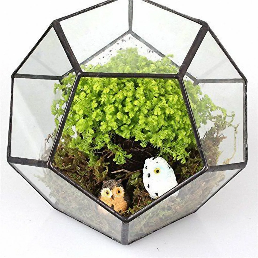 Black Glass Pentagon الهندسة الحاوية terrarium نافذة عتبة تزيين زهرة وعاء الشرفة زارع DIY مربع العرض Y2007238277472