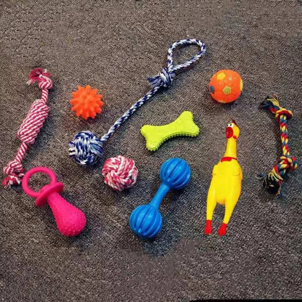 SET EST Puppy Pet Toys Set Chew corda dentes de algodão durável para pequenos a médios S Y200330