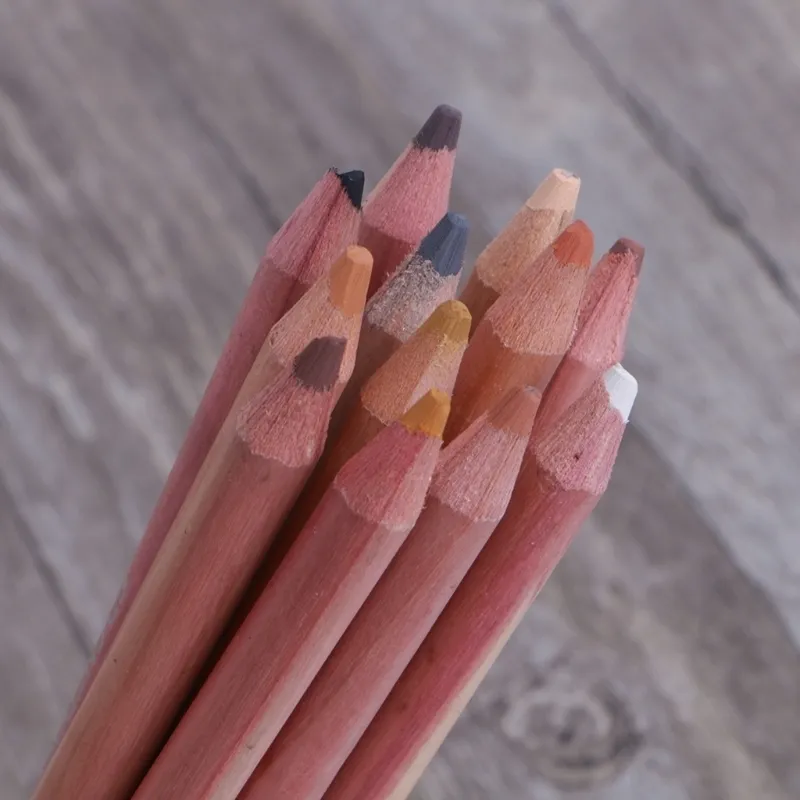 Professional Soft Pastel Pencils Wood Skin Tint Pastel Colored Pencil 201102