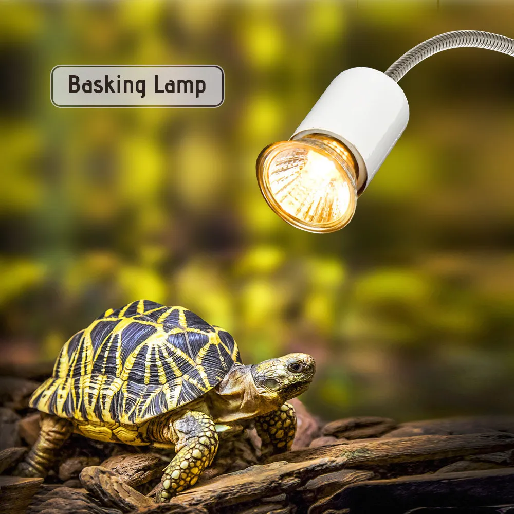 Lampe de pèlerin Decdeal 25W Halogène Chaleur UVA UVB Chauffe Ampoule pour Reptiles Lézard Tortue Rium Y200917