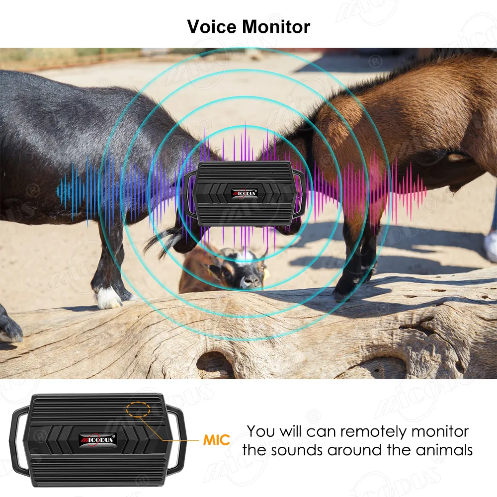 Neuestes Micodus-GPS-Echtzeiterfassungsgerät für Hunde, ml935, für Pferde, Kühe, Jagdhunde, 3000 mAh, Mikrofon, GPS-Tracker für Hunde, Geozaun, kostenlose App für Autos