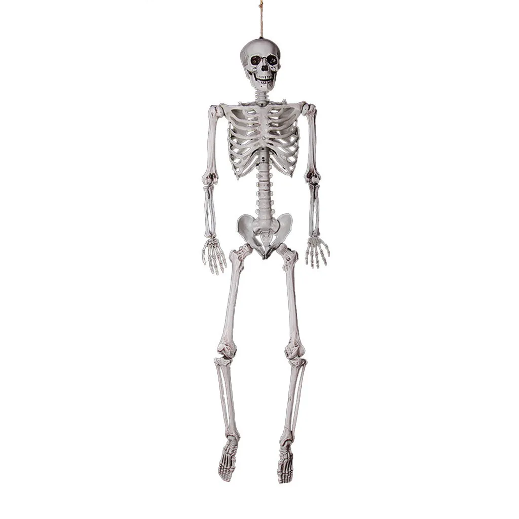 Máxima fornecedor Halloween Prop Skeleton Humano Crânio Full Life Life Body Anatomy Model Decorações para Halloween D3 201028