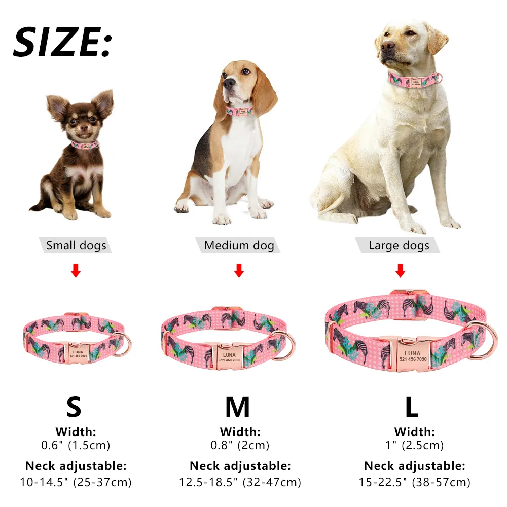 Collari cani personalizzati Inciso collare con targhetta identificativa stampata personalizzata Antilost Nylon Pet piccolo medio grande s Rosa Y200917